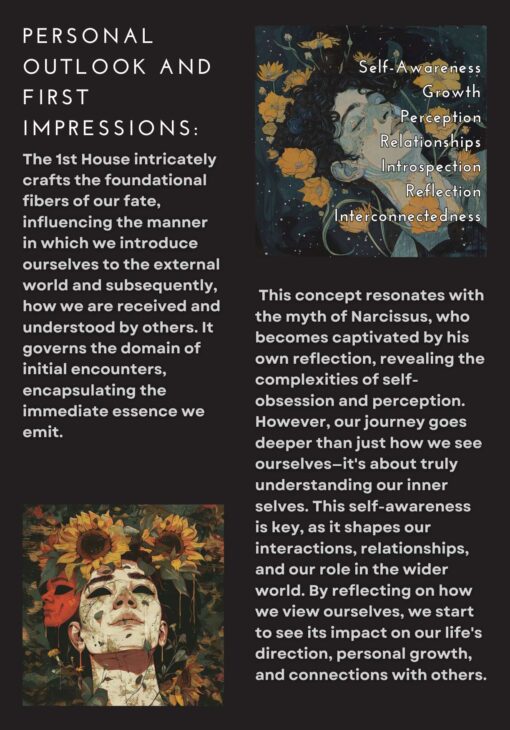 Master the Cosmos: A Comprehensive Astrological Houses Masterclass Series - Image 4
